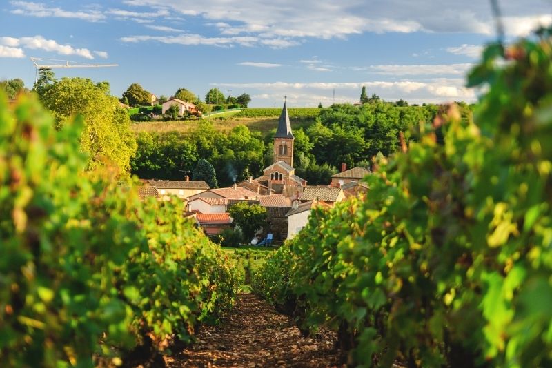 Excursion d'une journée dans le Beaujolais au départ de Lyon